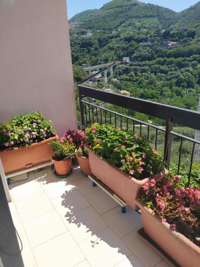 B&B Antonietta Vico Equense Exteriér fotografie